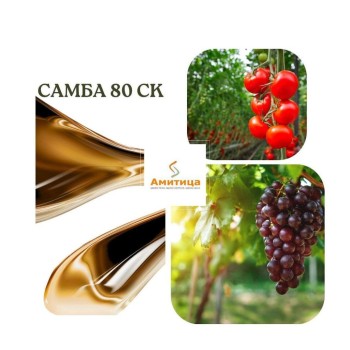 Самба 80 СК сяра срещу брашнеста мана